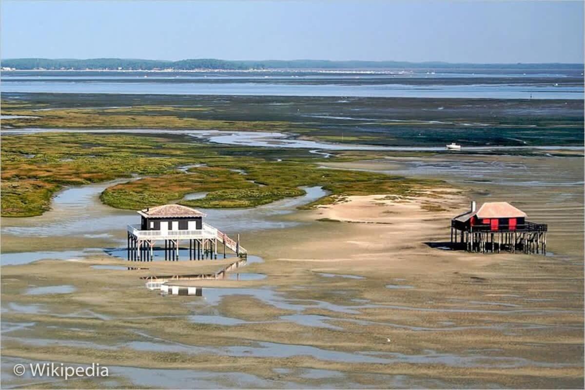 Beautiful Louisiana Villa Sleeps 6 With Pool Mios Esterno foto